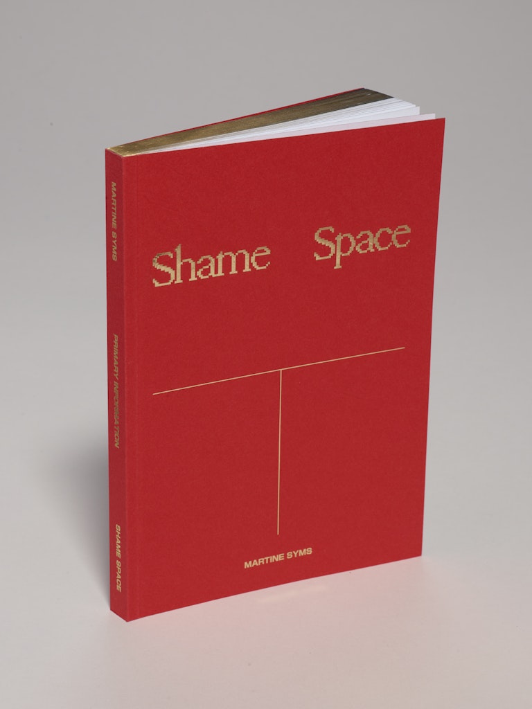 Shame Space
