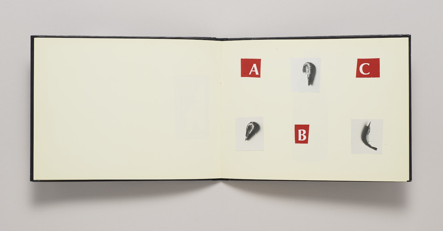 Le Cadran S(c)olaire