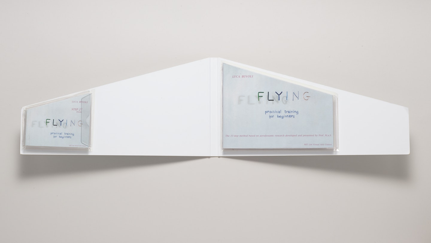 Flying: practical training for beginners