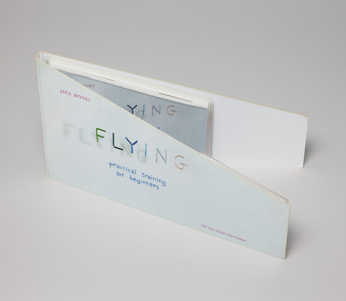 Flying: practical training for beginners