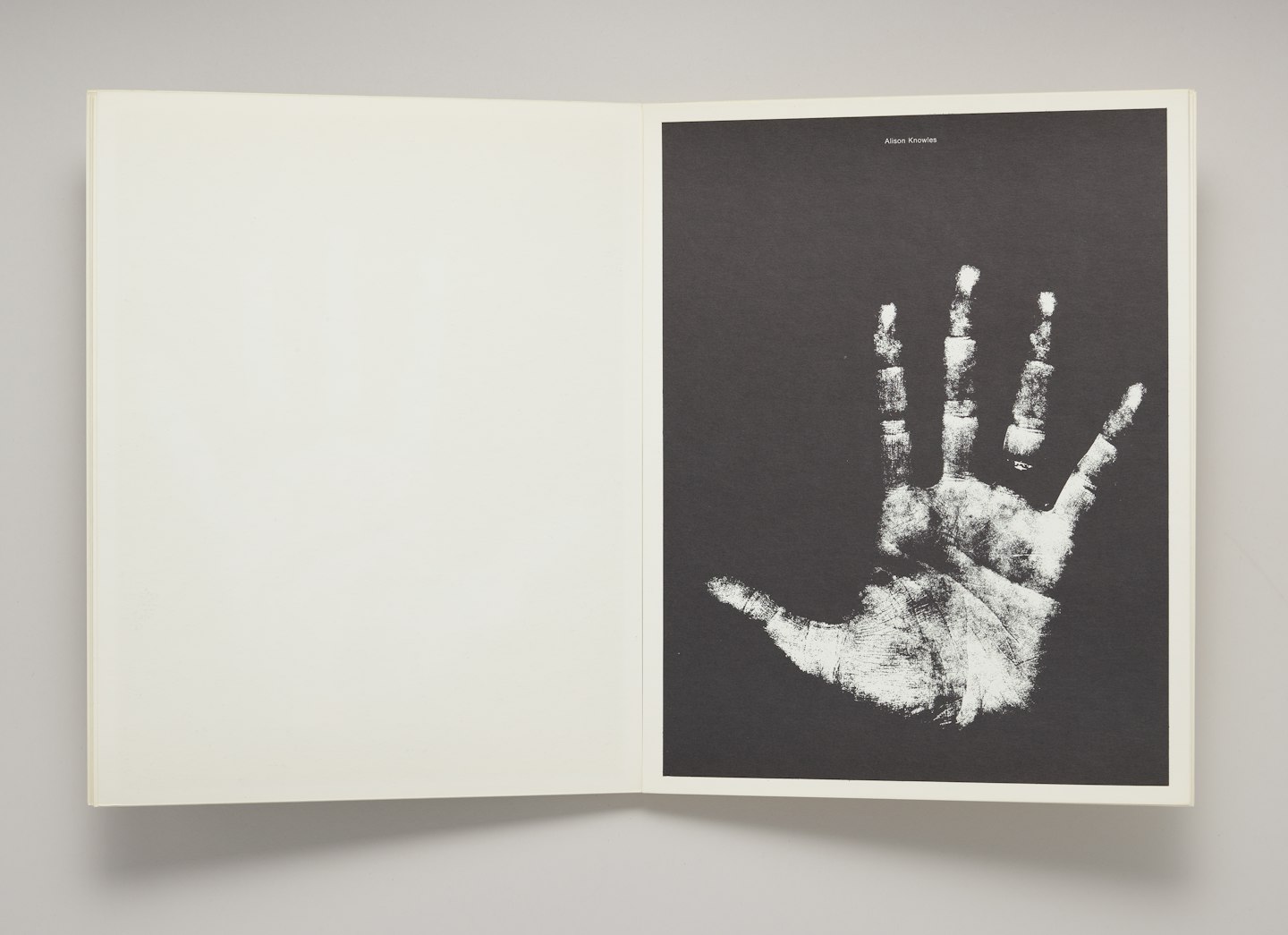 Hand Show