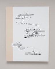 Corona Panic Score