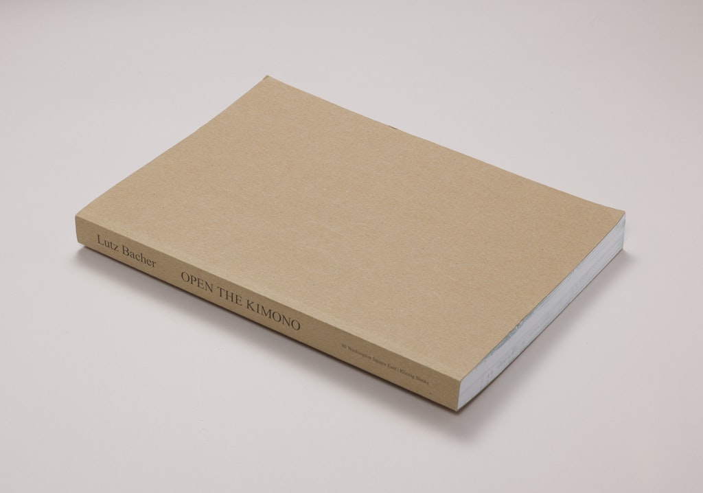 Lutz Bacher: Open the Kimono