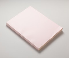 100,000 Minutes or the Big Sample of Byars or 1/2 an Autobiography or the First Paper of Philosophy