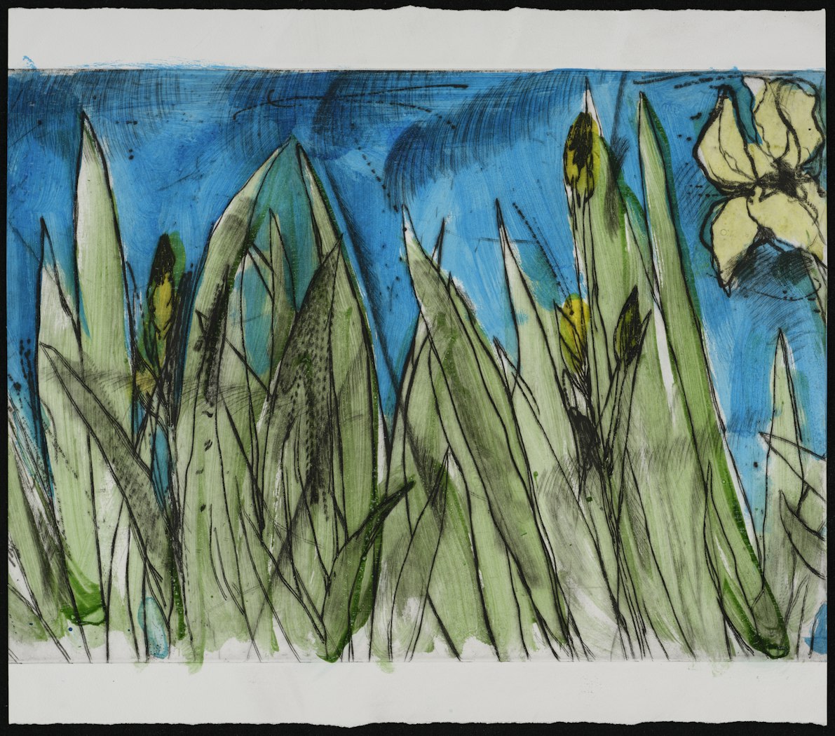 Rachel Cohen's Flags State II