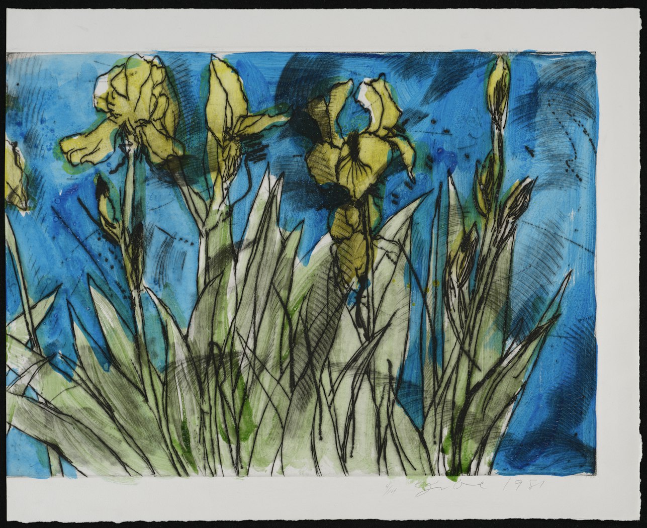 Rachel Cohen's Flags State II