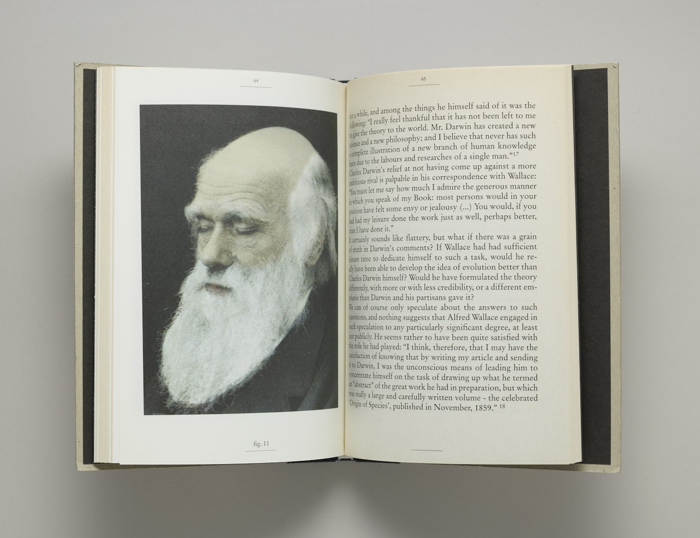Darwin w Warszawie; Darwin in Warsaw 