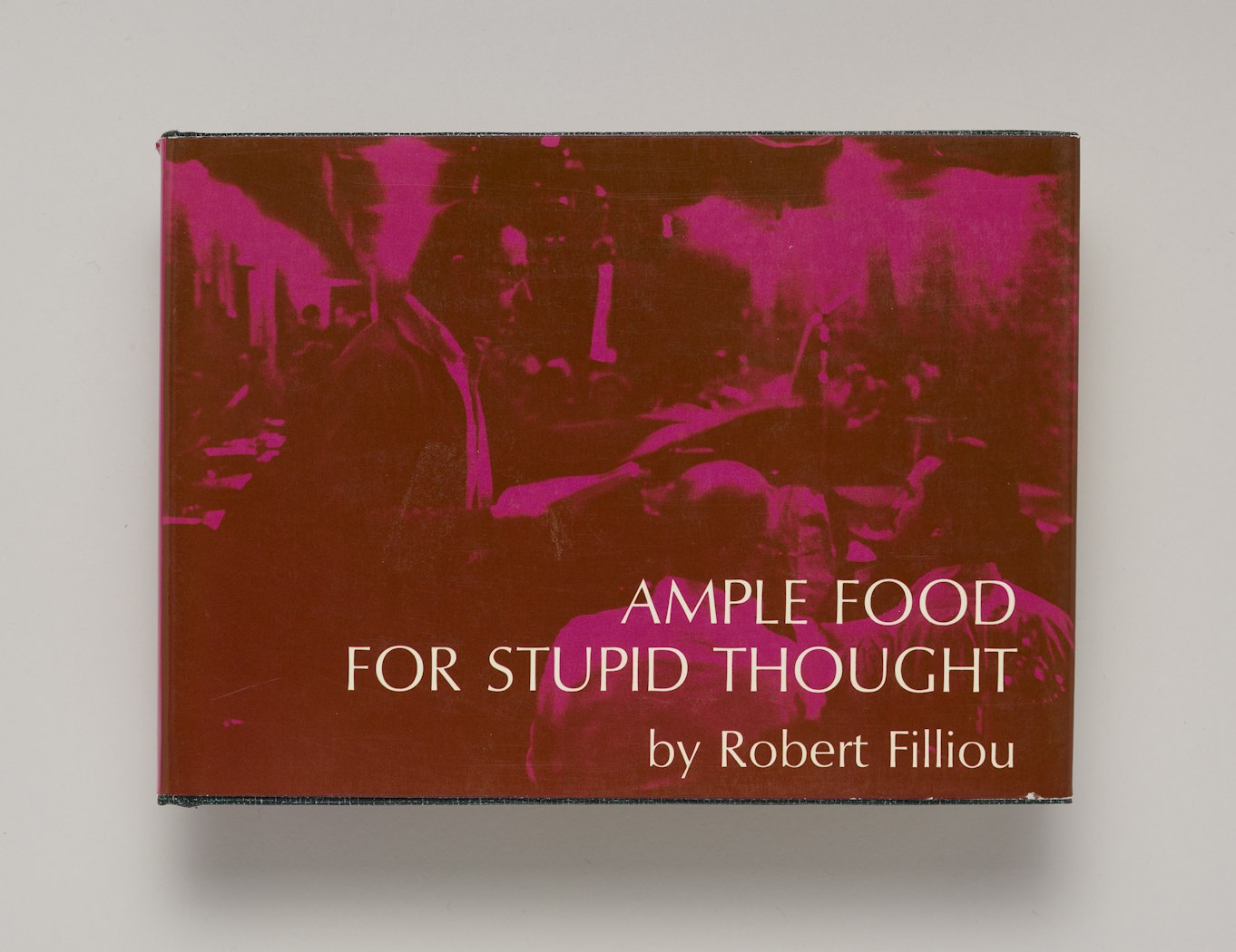Ample Food for Stupid Thought