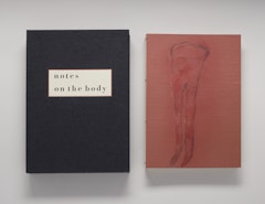 Notes on the Body