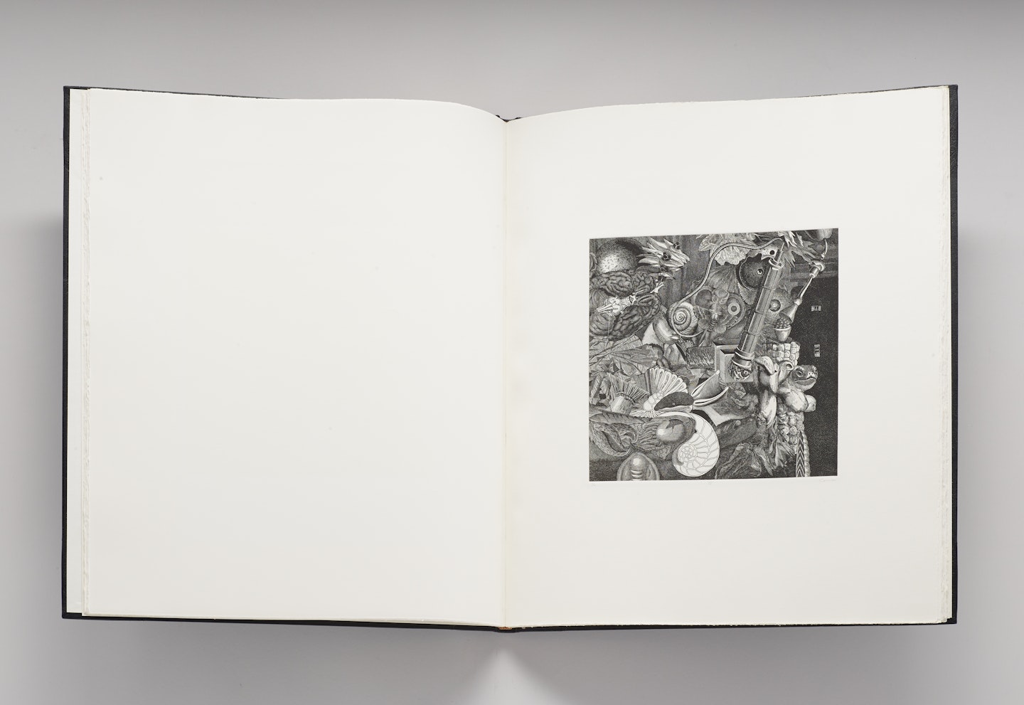THE DENNIS HOPPER ONE MAN SHOW, Volume II
