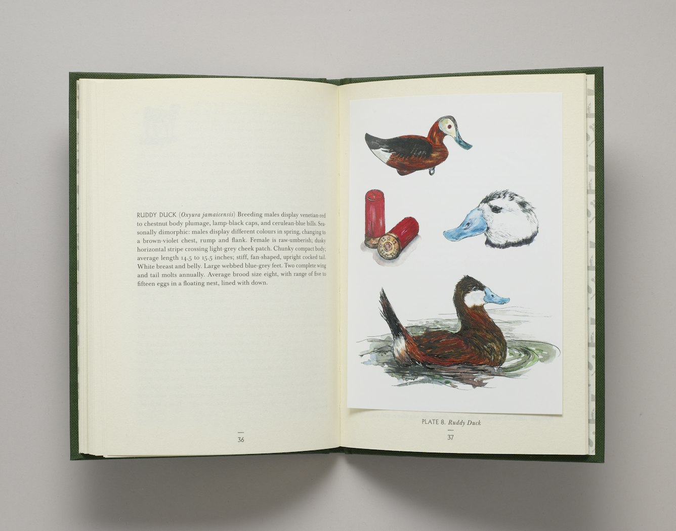 Alien Invaders: A Guide to Non-Native Species of the Britisher Isles, V. 1