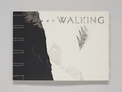 Night Walking