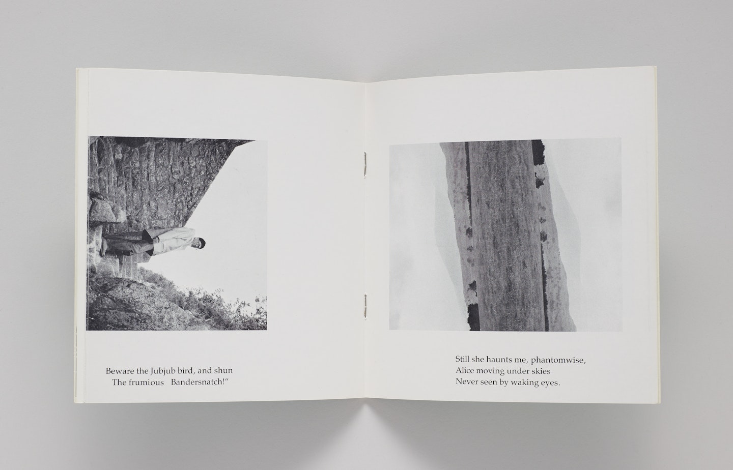 Alice's Book: Variations on a Theme of Lewis Carroll's