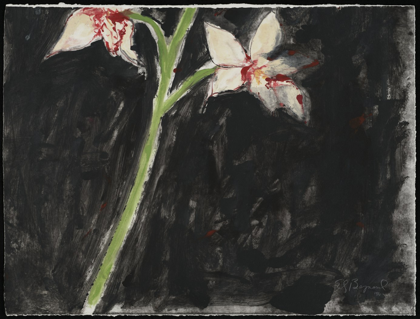 Monotype