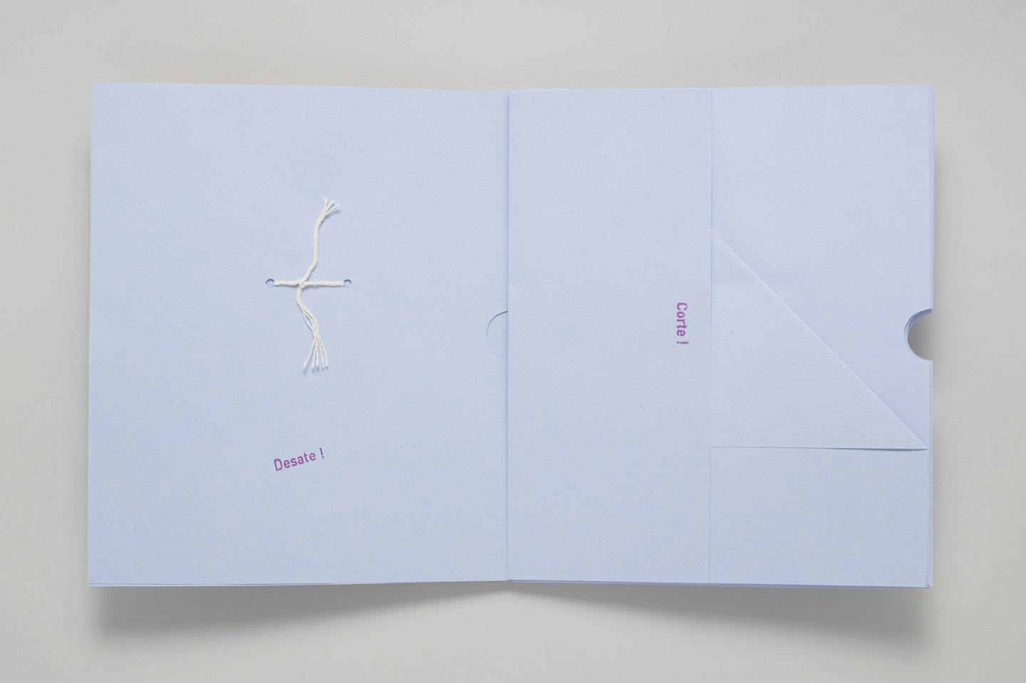 Poesía Visual: Proyecto para Hacer un Libro