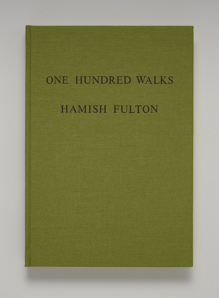 One Hundred Walks: A Few Crows, Wide River, Ants