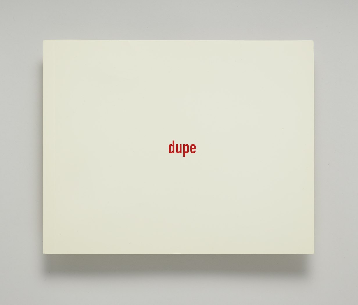 Dupe: a Partial Compendium of Everyday Delusions