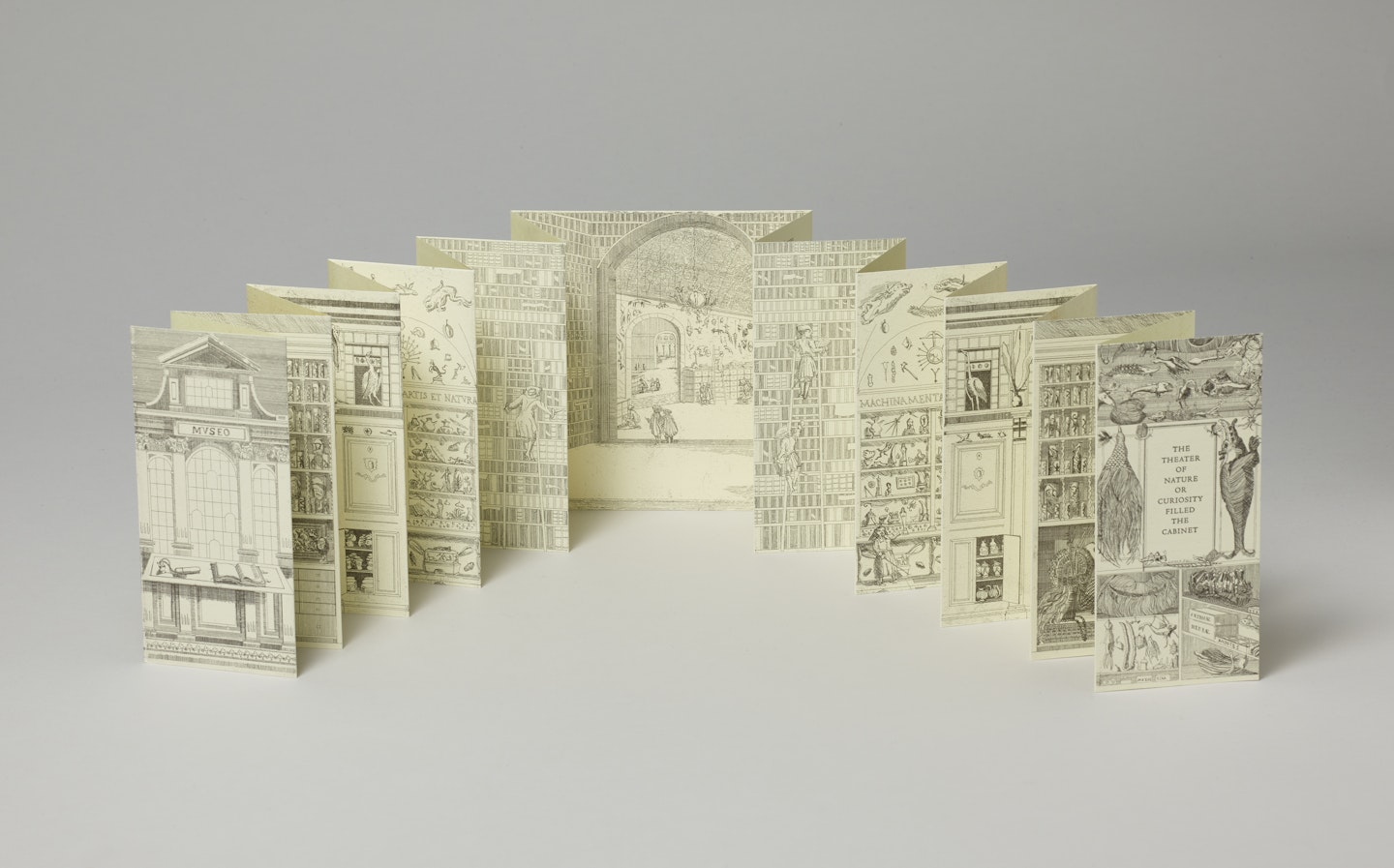 The Theater of Nature, or, Curiosity Filled the Cabinet