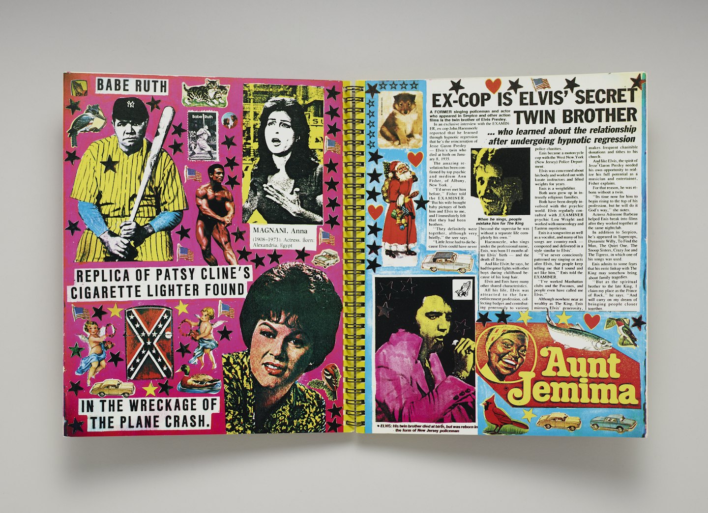 Joni Mabe's museum book: the first museum in book form.