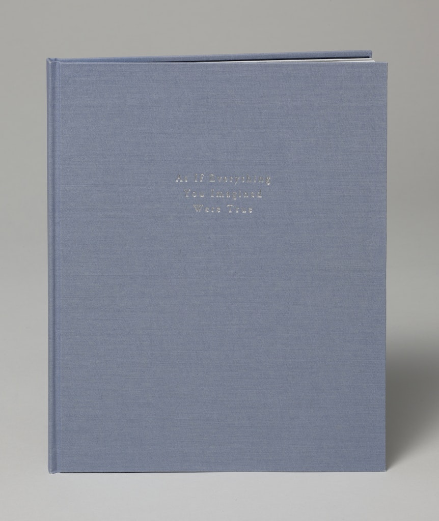 As If Everything You Imagined Were True