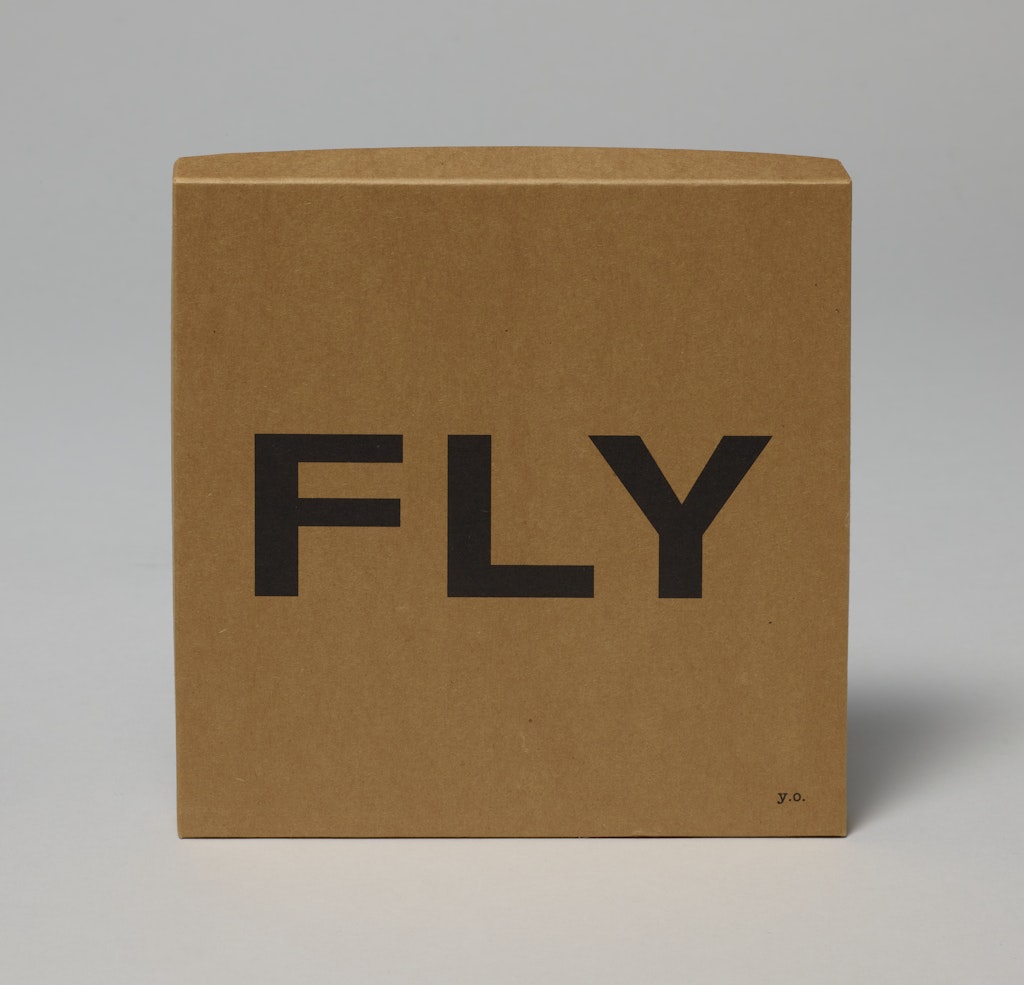 Fly