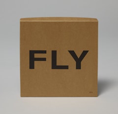 Fly