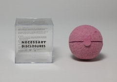 Necessary Disclosures