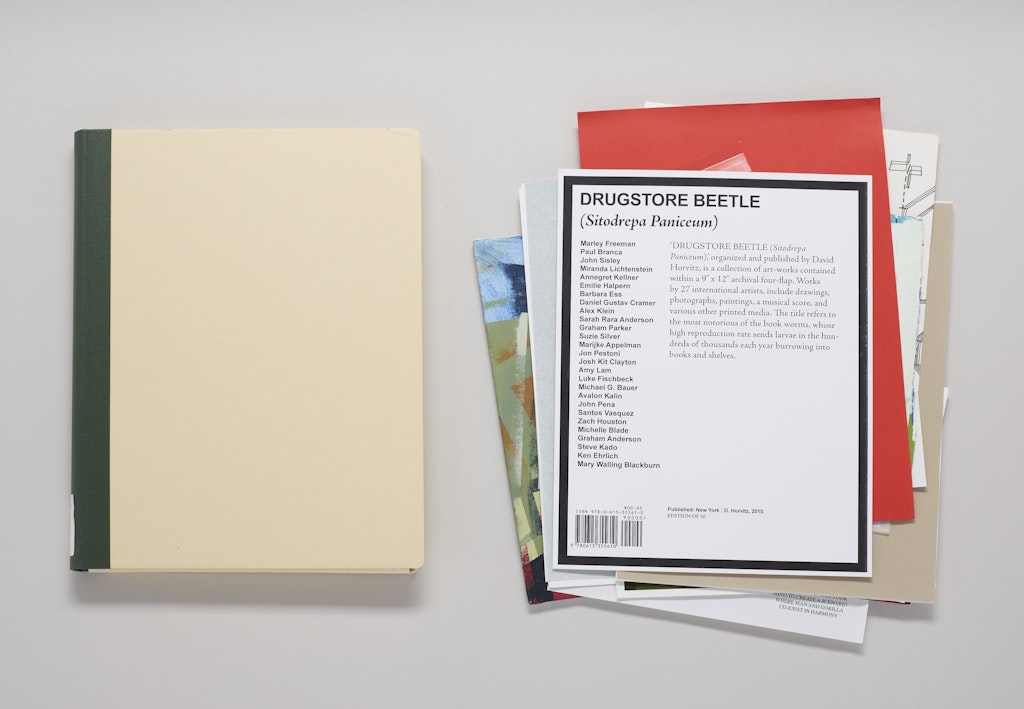 DRUGSTORE BEETLE (Sitodrepa Paniceum)