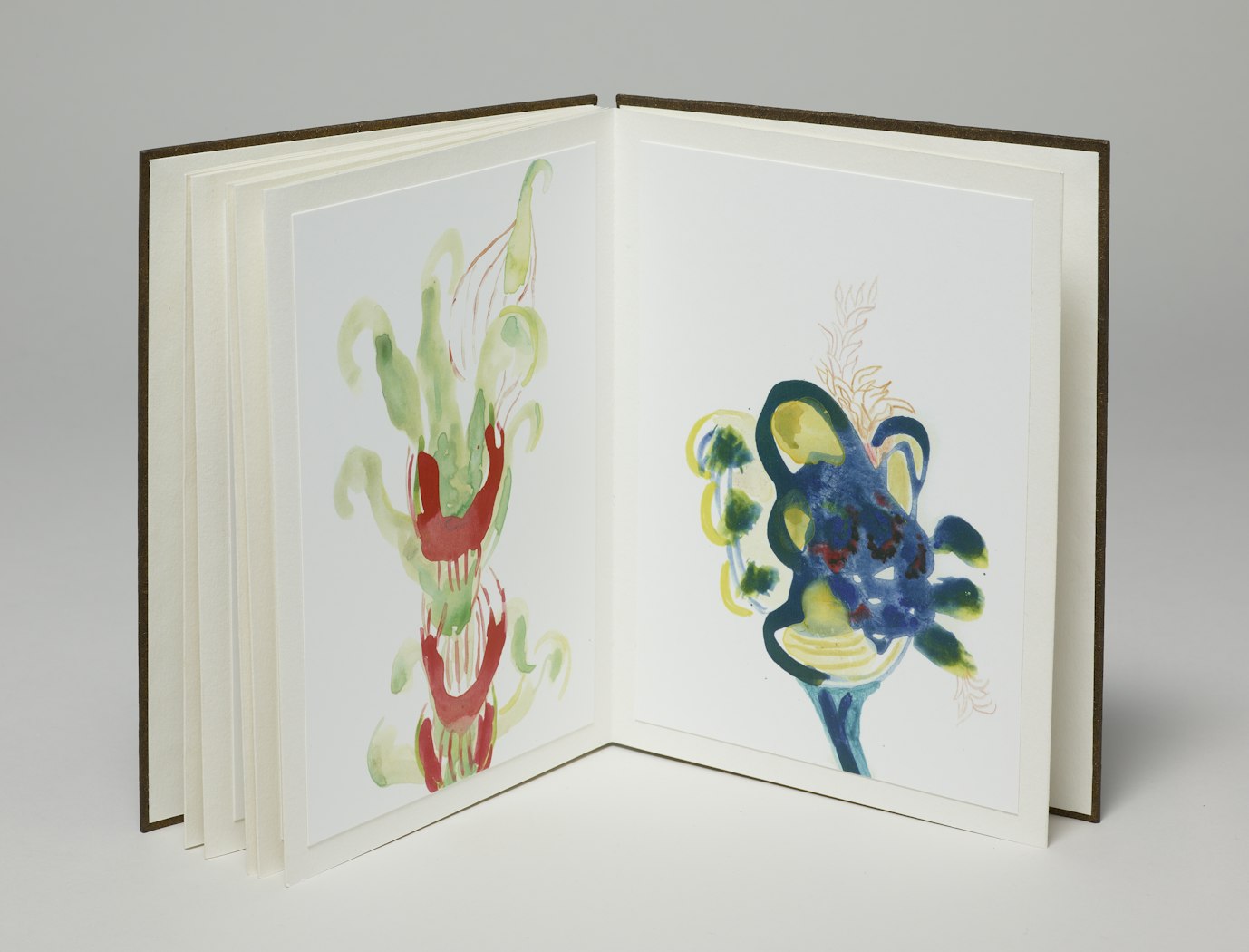 Mrs. Darwin's Garden: Book Two