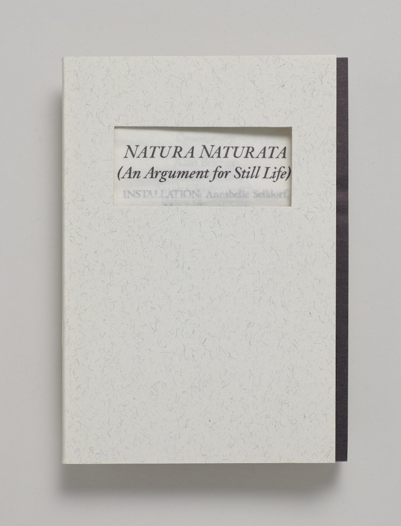 Natura Naturata (An Argument for Still Life):
