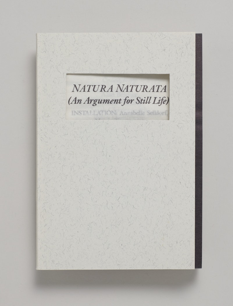 Natura Naturata (An Argument for Still Life):
