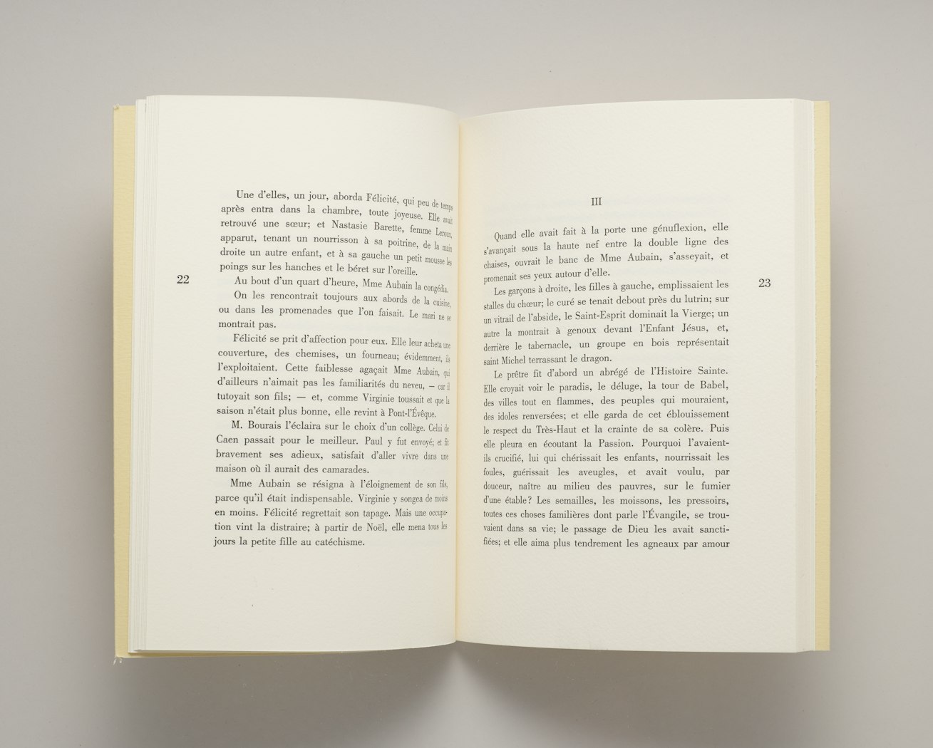 Gustave Flaubert: Un Couer Simple