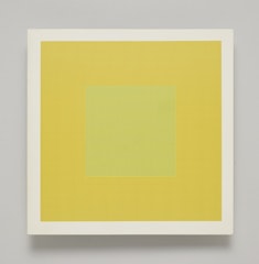 Lines in Two Directions and in Five Colors on Five Colors with All Their Combinations