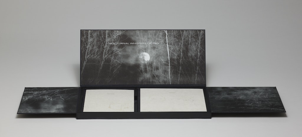 Nocturnal Whispers of Pan