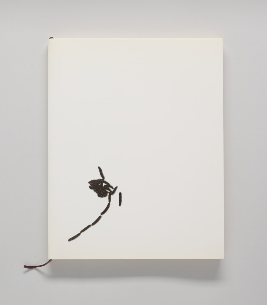 Jedes Tier ist eine Kunstlerin