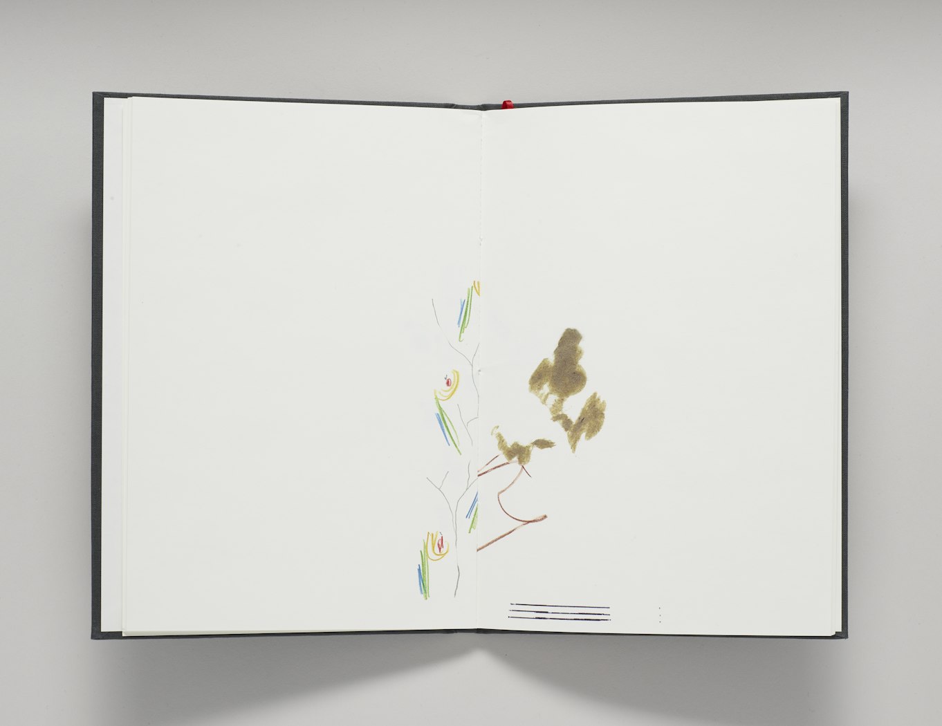 Richard Tuttle: A Drawing Book....