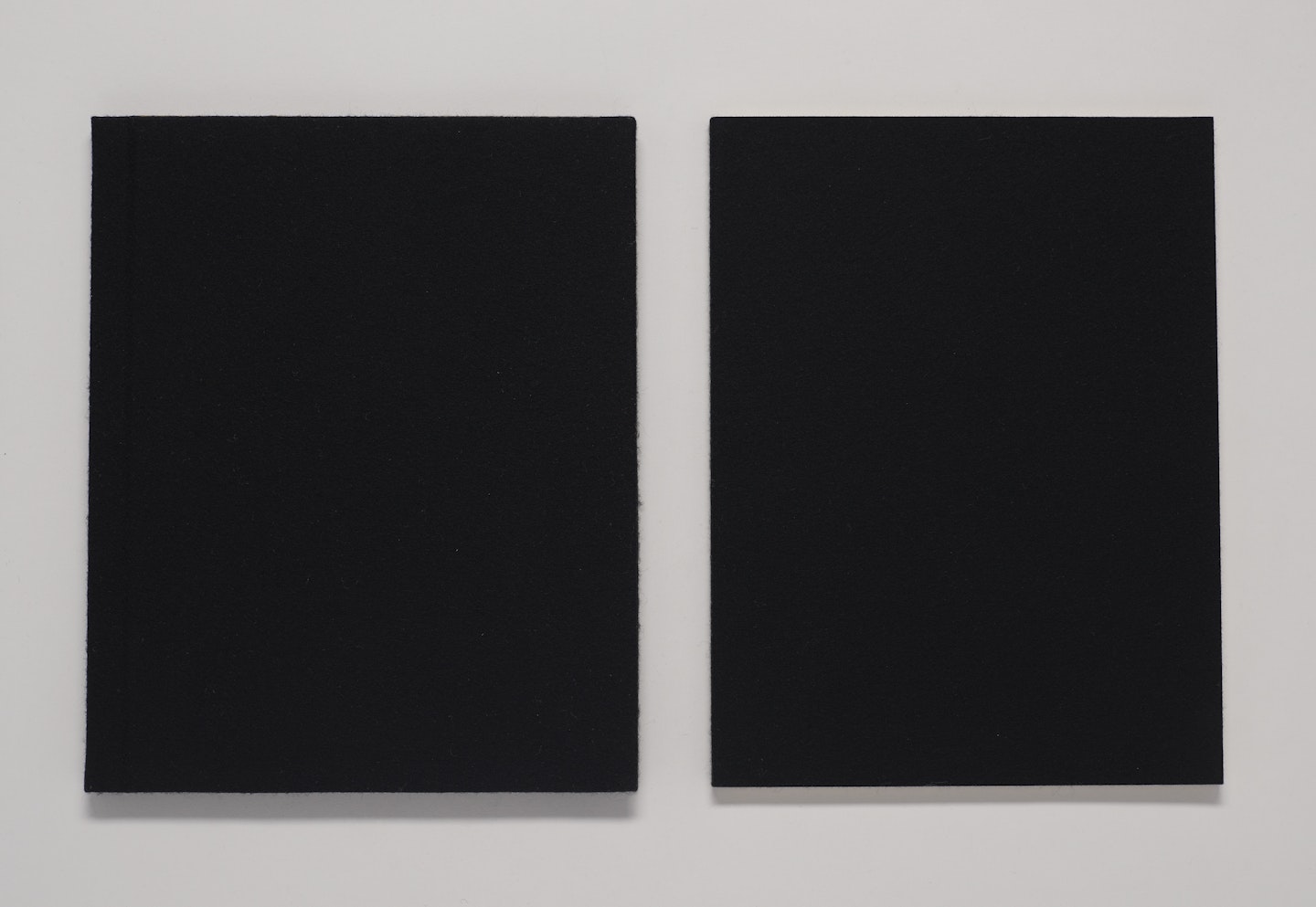 Richard Tuttle: Two Books
