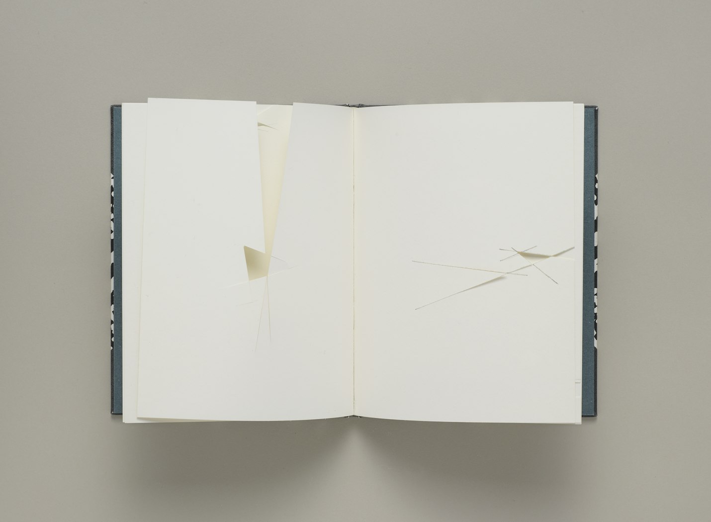 Richard Tuttle: Book and Cover