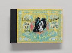 Lucha por la Vida: Struggle For Life 