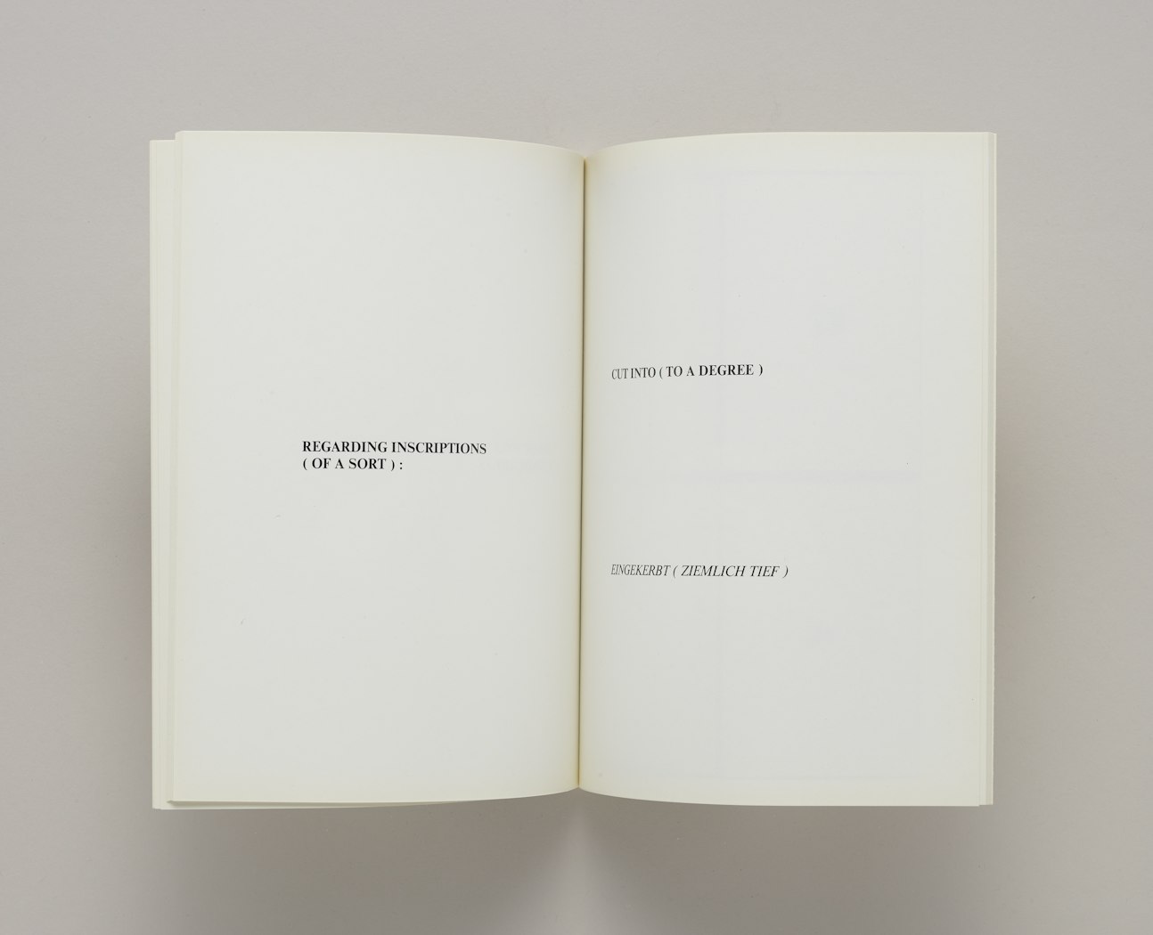 Regarding Inscriptions (of a Sort) (Hinsichtlich Inschriften (Einer Art))