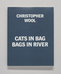 Cats in Bag, Bags in River