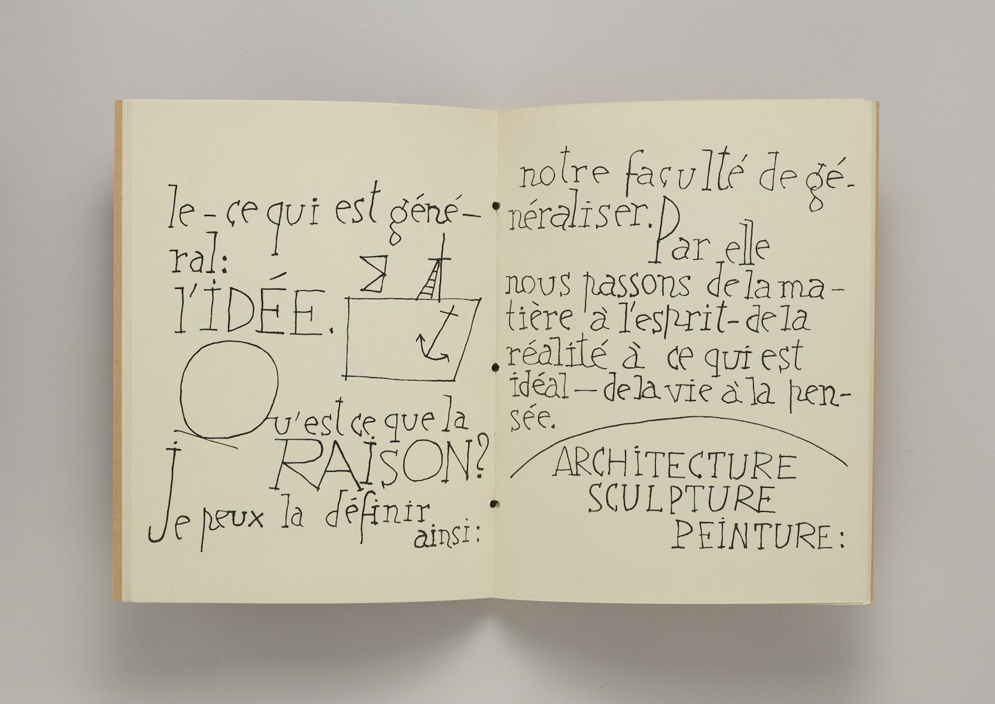 Raison et Nature: Théorie