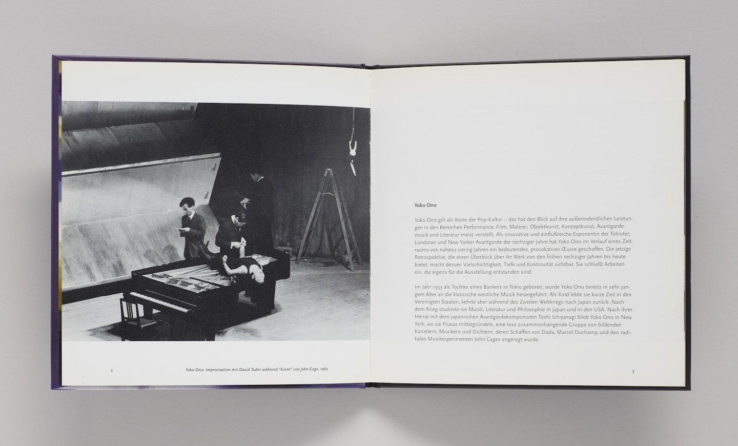 Yoko Ono: Have you seen the Horizon Lately?