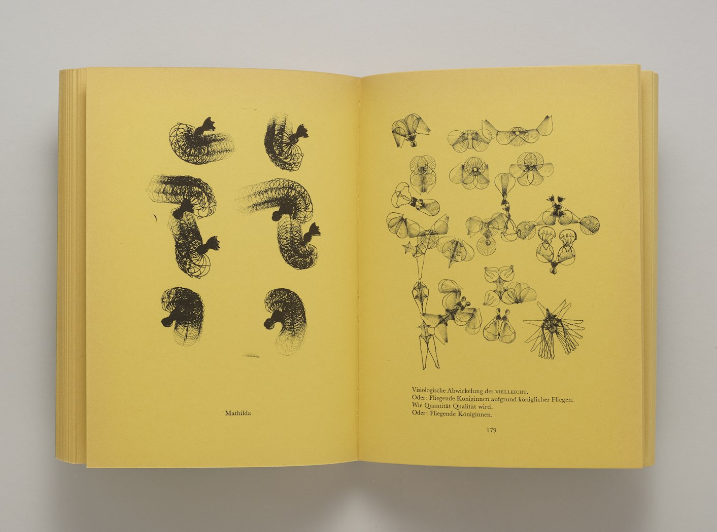 Gesammelte Werke, Band 16 (Collected Works, Volume 16): Mundunculum