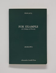 For Example (A Critique of Never)