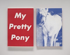 My Pretty Pony