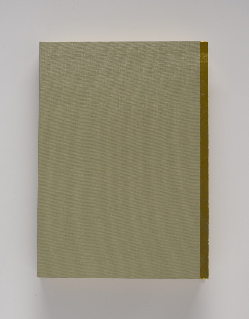 A Clown, Some Colors, A Doll, Her Stories, A Song, A Moonlit Cove