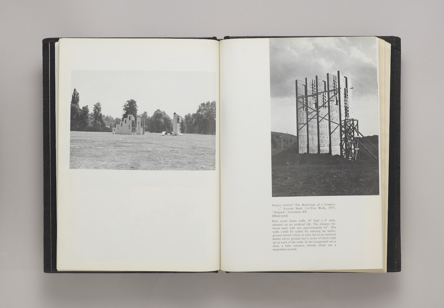 Alice Aycock: Projects and Proposals