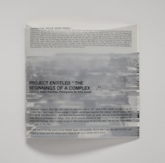 Project Entitled "The Beginnings of a Complex..."