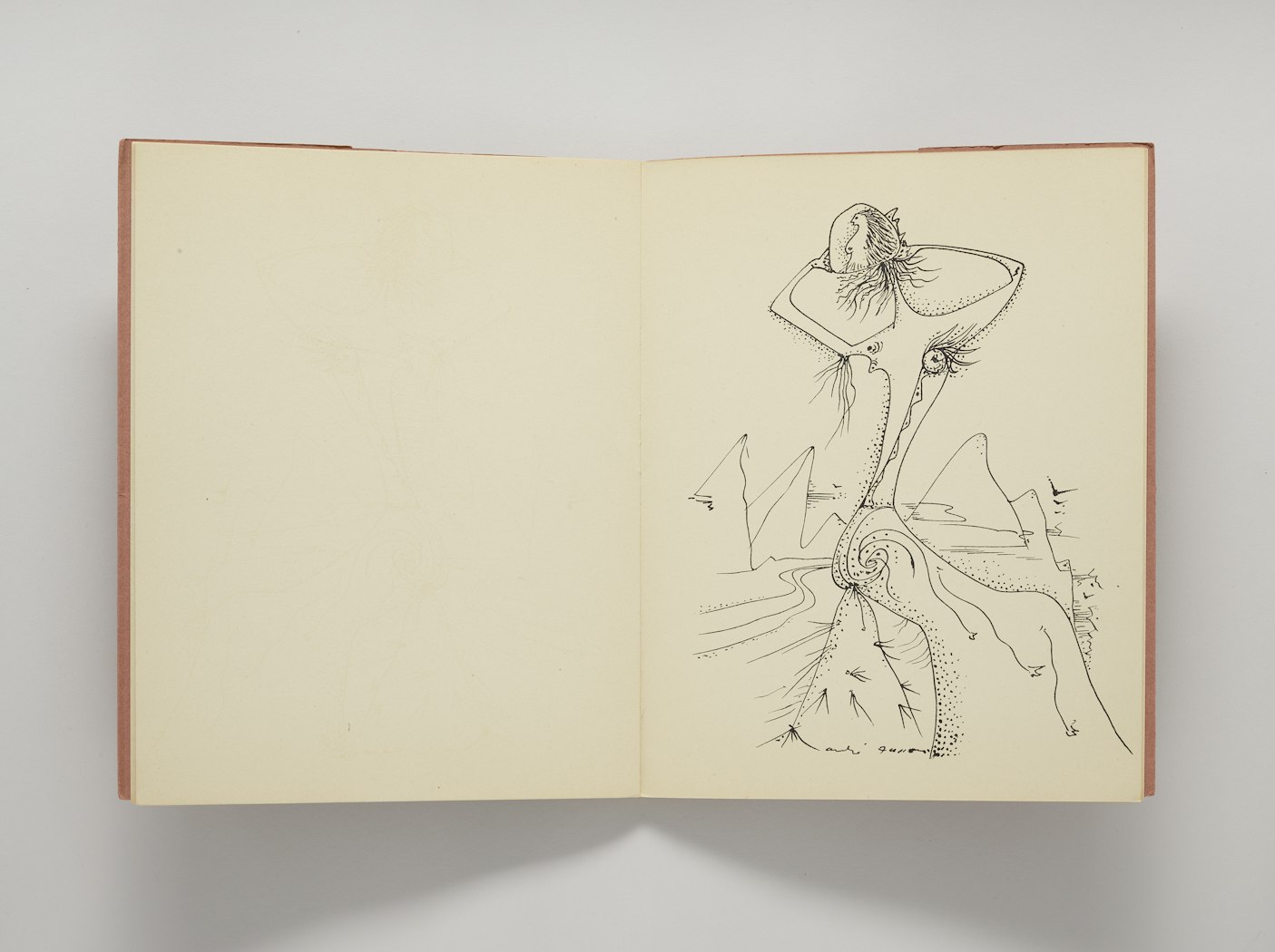 Nocturnal Notebook